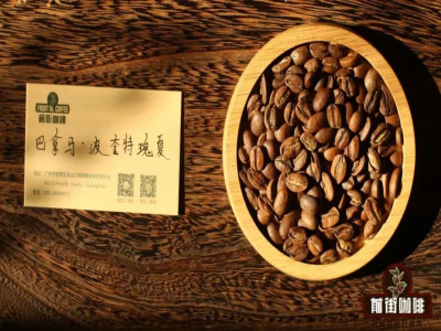 瑰夏Geisha是什麼咖啡｜為何瑰夏咖啡豆總強調巴拿馬？哪些咖啡產區種植了瑰夏？巴拿馬瑰夏的獨特之處是什麼？