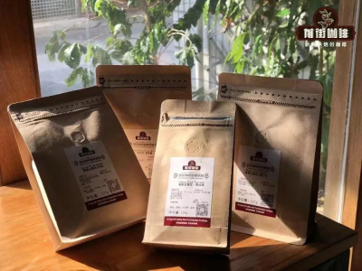 烘焙咖啡豆品牌｜初學者入門買的咖啡豆還是咖啡粉？資深咖啡愛好者選擇的咖啡品牌有哪些推薦