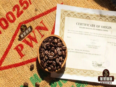 非洲咖啡特點｜經典耶加雪菲除了手衝能做冷萃/冰滴/SOE意式濃縮嗎？新手友好花香柑橘風味單品豆推薦