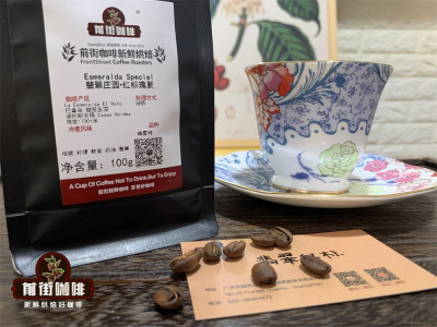瑰夏Geisha起源故事｜瑰夏/藝伎咖啡爲何價格這麼貴？哪些高品質瑰夏手衝咖啡豆值得新手購買