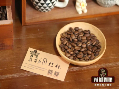 法壓壺咖啡｜不同產區的瑰夏的咖啡風味有哪些區別？怎麼使用法壓壺衝煮出好喝的瑰夏咖啡？