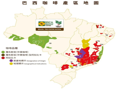 巴西咖啡主要產區｜巴西咖啡生豆分級標準是什麼？巴西咖啡豆口感如何描述？