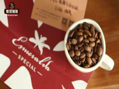 世界十大單品咖啡豆盤點｜送禮用的高檔次精品咖啡豆有哪些？推薦資深咖啡迷喜愛的高性價比手衝豆