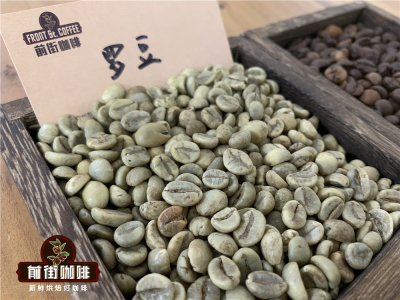 羅布斯塔咖啡豆產地種植海拔特徵介紹 最大的羅布斯塔豆最大生產國在哪 為什麼沒有100%羅布斯塔咖啡？