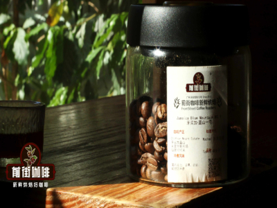 優質經典咖啡豆介紹｜新手入門常見的阿拉比卡咖啡豆是哪些？好喝不貴的手衝咖啡單品豆推薦