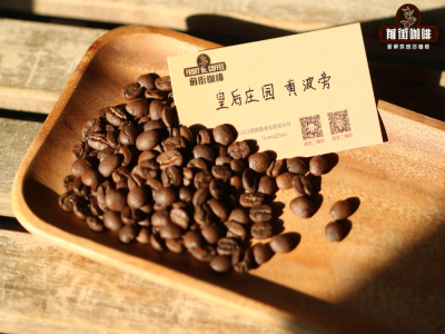 堅果風味美式咖啡豆推薦｜在家怎麼做一杯好喝的美式咖啡？3個關鍵步驟新手也能做出咖啡店同款齋啡！