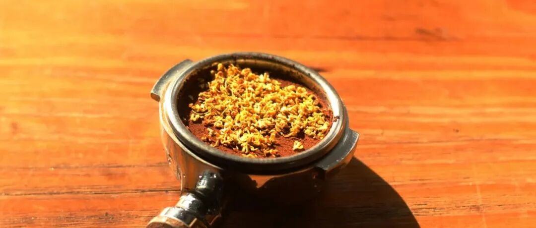 Dạy bạn làm 6 loại cà phê khác nhau bằng hoa quế!!!