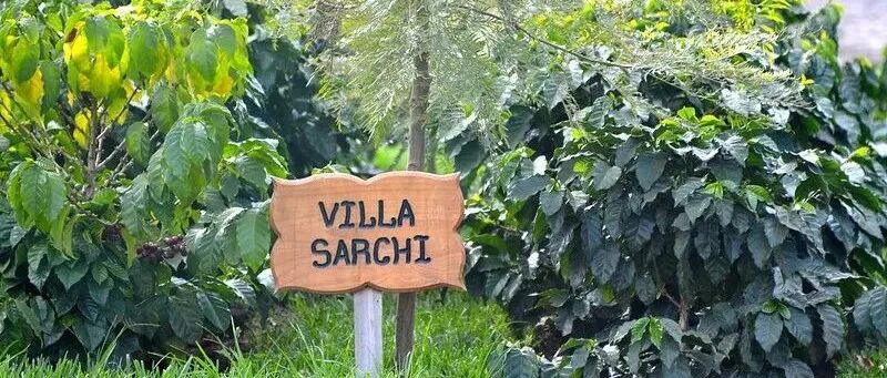 Giới thiệu các giống cà phê quý hiếm ở châu Mỹ: Villa Sarchi, Venecia, Tekisic, Bernardina