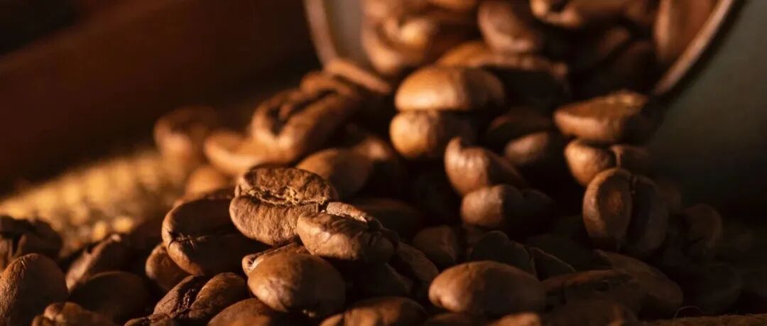 Phản ứng Maillard và caramel hóa khi rang hạt cà phê có tác dụng gì?