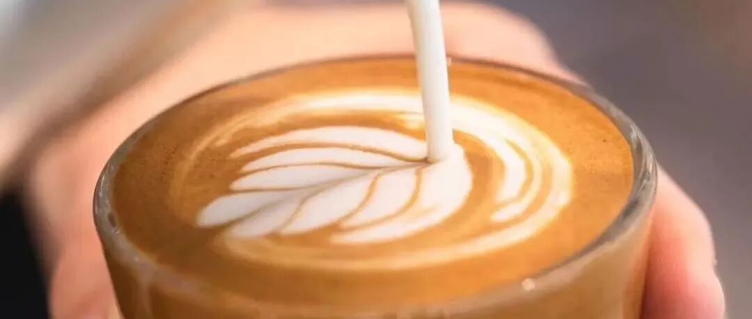 Cà phê Gibraltar của Blue Bottle là gì?