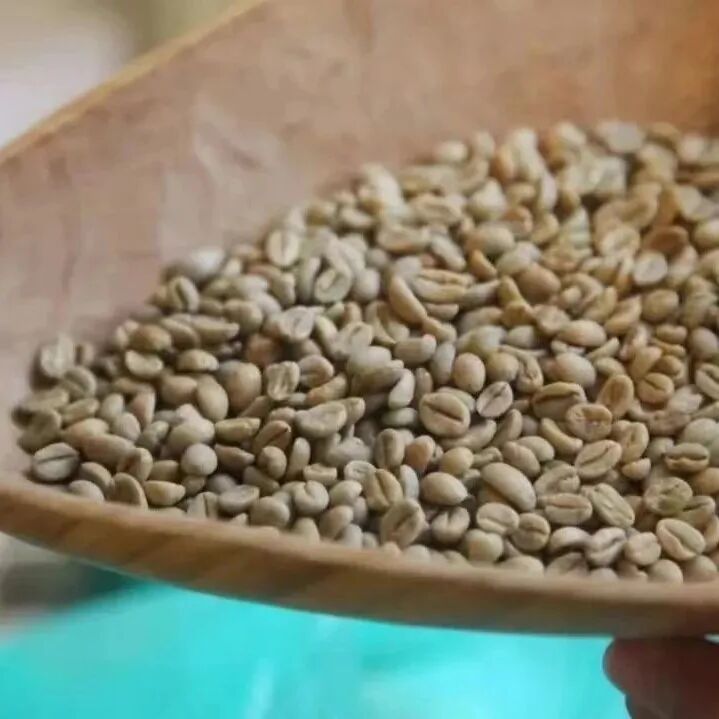 Cà phê hạt mới? Hạt cũ? Hạt lâu năm? Đều là gì?