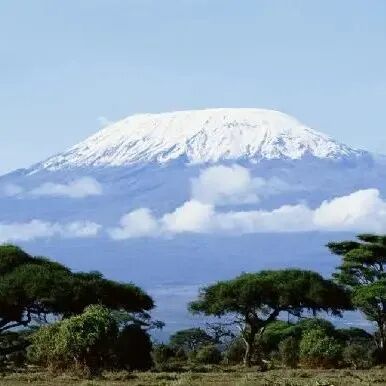 Giới thiệu hạt cà phê vùng Kilimanjaro, Tanzania
