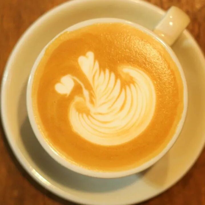 Lớp học nhỏ về nghệ thuật latte của Front Street Coffee④: Nâng cao lá cây - 