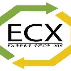 Nền tảng giao dịch cà phê｜Giới thiệu Sàn giao dịch hàng hóa Ethiopia ECX