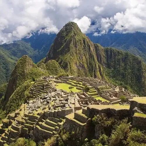 Giới thiệu hương vị vùng trồng cà phê Peru, quốc gia Nam Mỹ