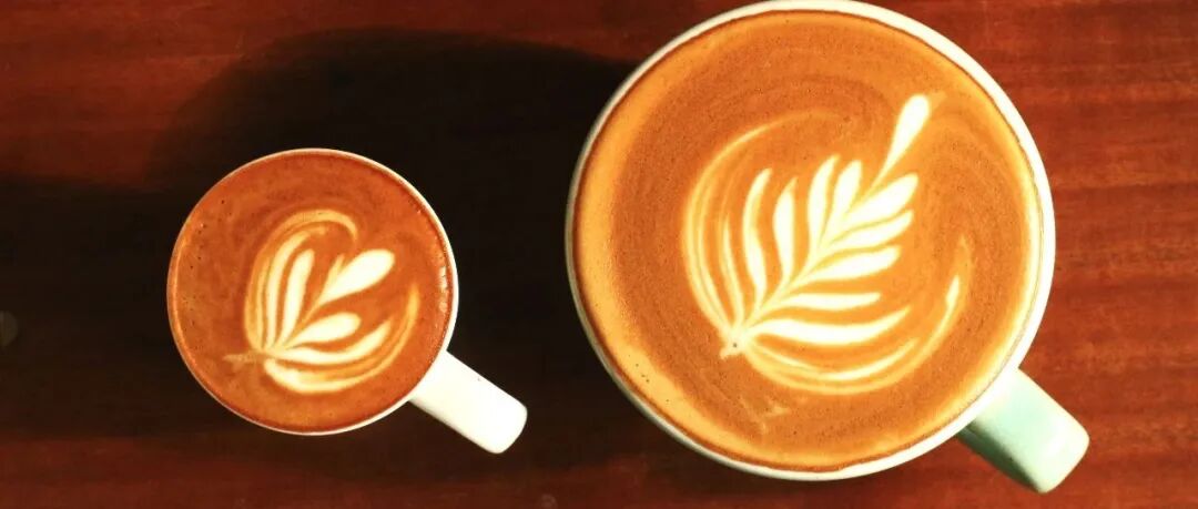 Cà phê Piccolo có phải là phiên bản mini của latte không?