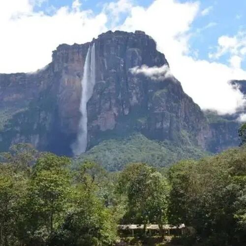 Giới thiệu về các giống cà phê được trồng tại vùng sản xuất cà phê Venezuela, quốc gia Nam Mỹ