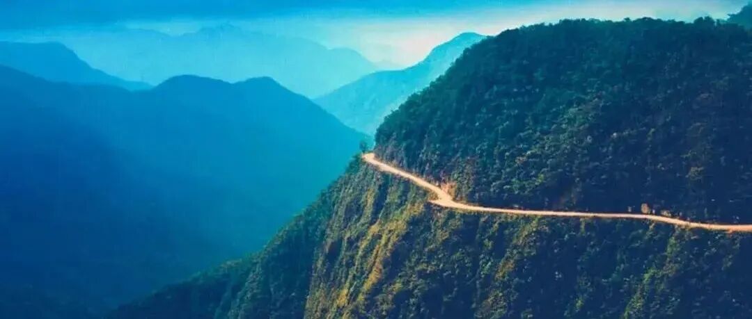 Giới thiệu các giống cà phê được trồng tại vùng sản xuất cà phê Bolivia, quốc gia Nam Mỹ