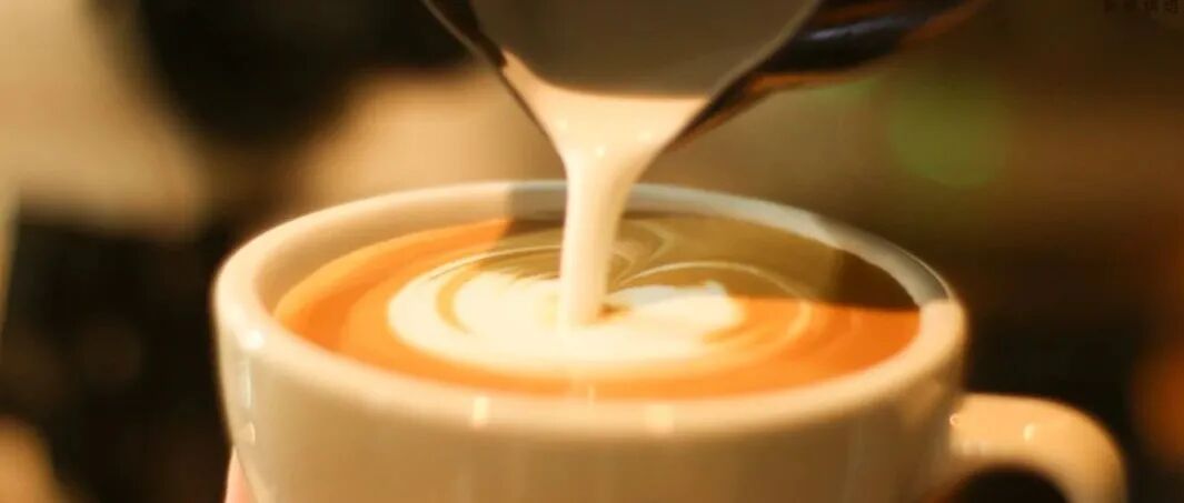 Tại sao hầu hết các quán cà phê đều dùng loại sữa này để làm cà phê sữa?