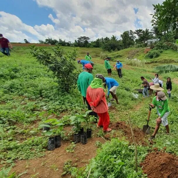 Giới thiệu về các vùng trồng cà phê và giống cà phê của Philippines, quốc gia sản xuất cà phê châu Á