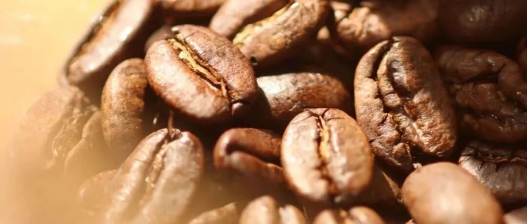 “Vàng” của Golden Mandheling nằm ở đâu?