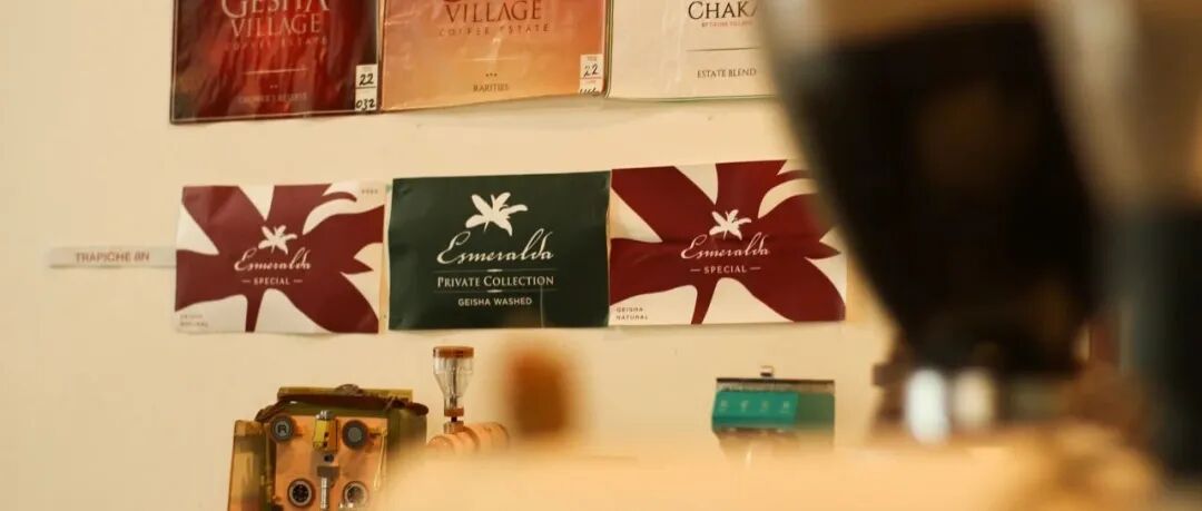 Sự khác biệt giữa Geisha nhãn xanh và nhãn đỏ của Hacienda La Esmeralda nằm ở đâu?