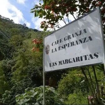 Giới thiệu về El Paraiso Estate, tỉnh Cauca, vùng trồng cà phê Colombia