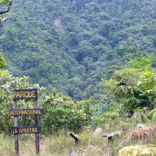 Giới thiệu về trang trại Nuguo đạt giải ba nhóm rửa ướt Geisha tại cuộc thi Best of Panama BOP 2024