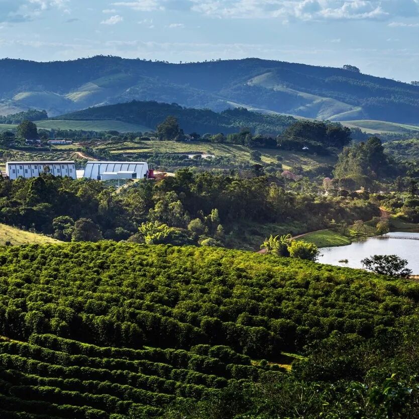 Brazil | Giới thiệu về vùng trồng cà phê Minas Gerais