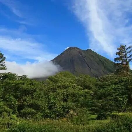 Costa Rica | Giới thiệu về các trang trại cà phê ở vùng trồng cà phê Thung lũng Tây
