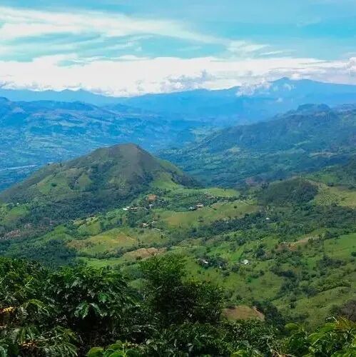 Giới thiệu vùng cà phê Nariño của Colombia