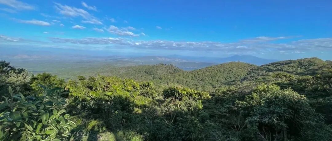 Giới thiệu vùng trồng cà phê El Salvador Apaneca-Ilamatepec