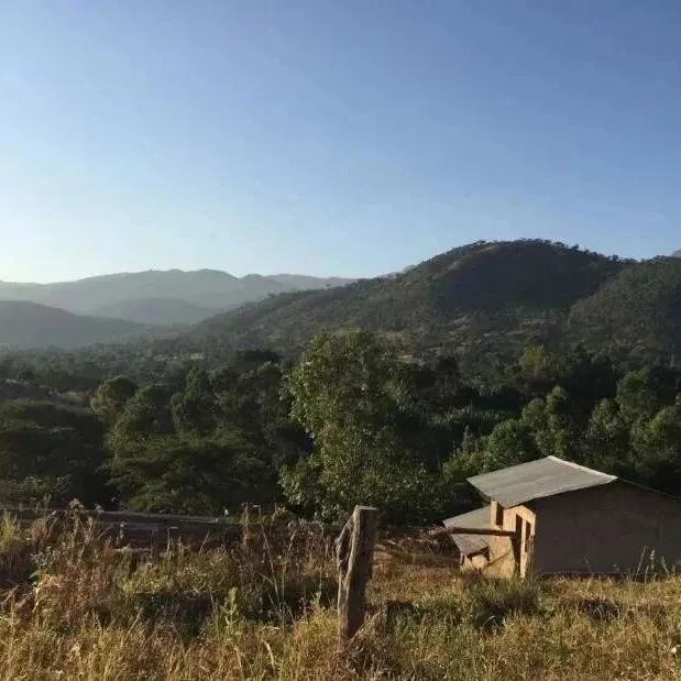 Giới thiệu về vùng sản xuất cà phê Mbeya ở Tanzania, châu Phi