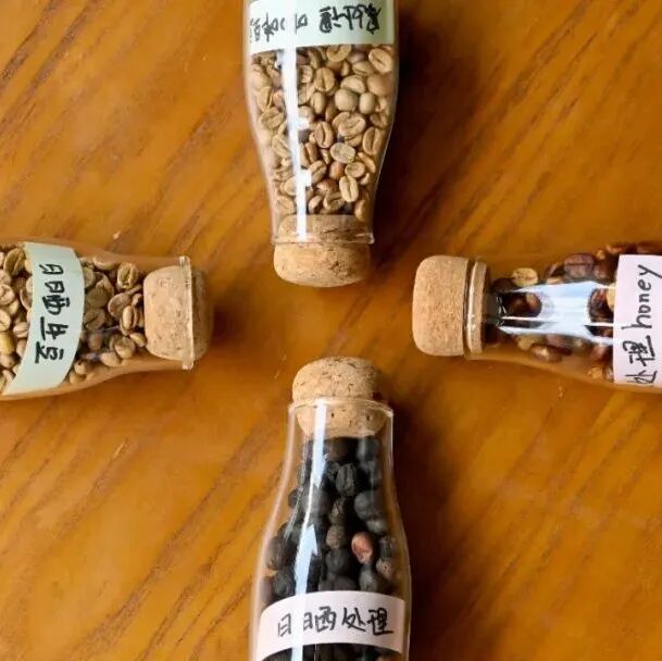 Cà phê honey process và natural, loại nào ngọt hơn?
