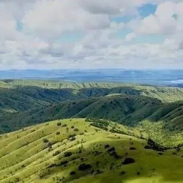 Giới thiệu về vùng trồng cà phê Rwanda hồ Kivu
