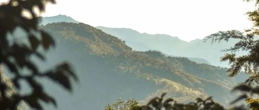 Giới thiệu vùng trồng cà phê Brunca, Costa Rica, Trung Mỹ