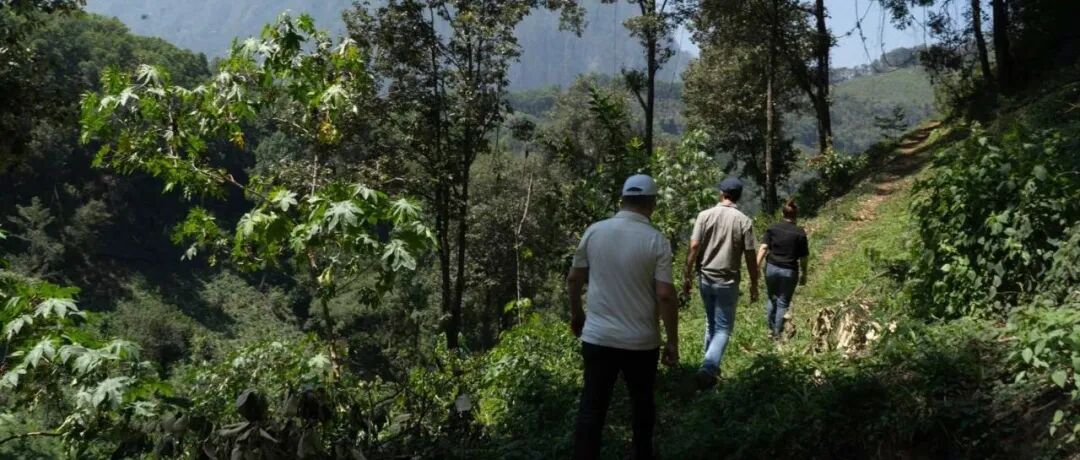 Giới thiệu vùng trồng cà phê Veracruz, Mexico, Bắc Mỹ