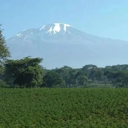 Giới thiệu vùng trồng cà phê Kigoma, Tanzania, châu Phi