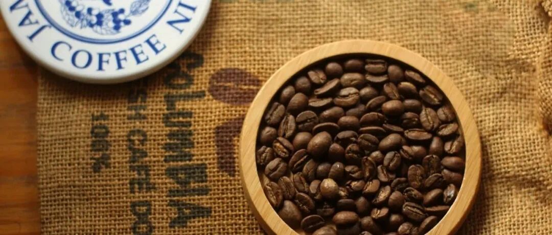 Cà phê Blue Mountain rốt cuộc có gì ngon?