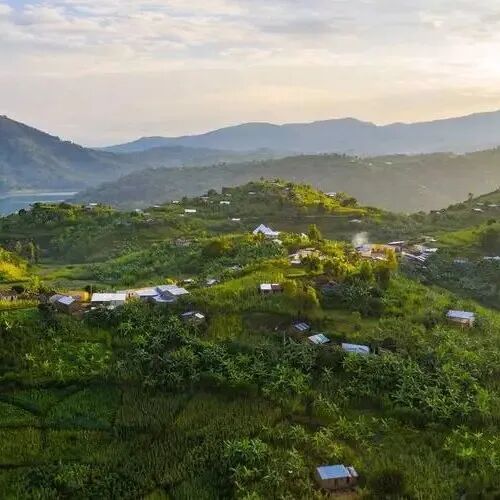 Ngoài Kenya và Ethiopia, châu Phi còn có những quốc gia sản xuất cà phê nào (phần 1)