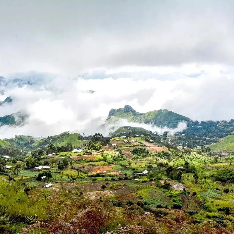 Ngoài Kenya và Ethiopia, châu Phi còn có những quốc gia sản xuất cà phê nào (phần giữa)