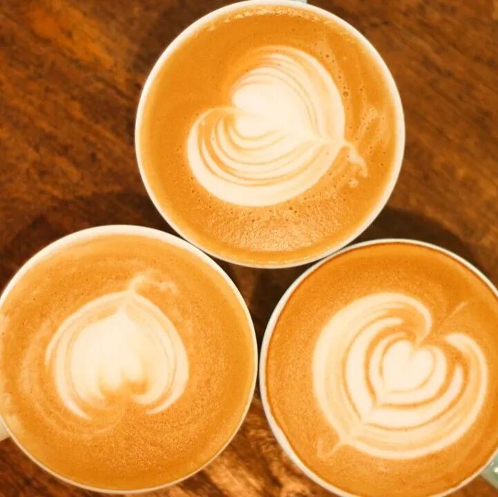 Dùng sữa bao nhiêu độ để làm latte ngon nhất?