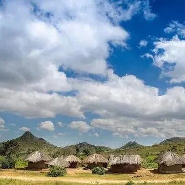 Ngoài Kenya và Ethiopia, châu Phi còn có những quốc gia sản xuất cà phê nào (phần dưới)