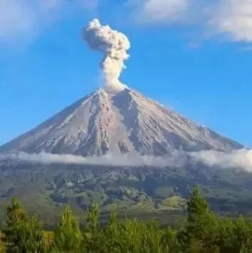 Cà phê Indonesia có đặc điểm gì, cà phê nhân được phân loại như thế nào