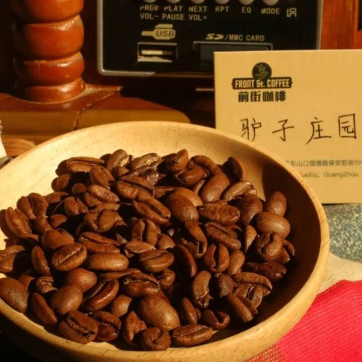 Panama · El Burro Estate · Gesha tự nhiên