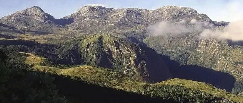 Cà phê Honduras có đặc điểm gì, được phân loại như thế nào