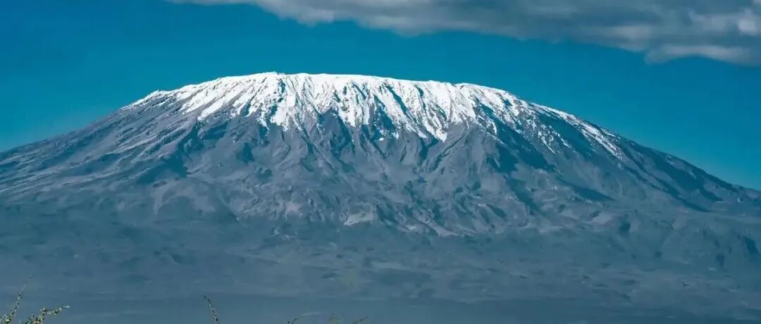 Cà phê Tanzania có đặc điểm gì, được phân loại như thế nào