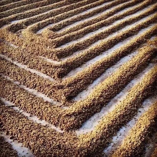 Pulp Natural là gì?