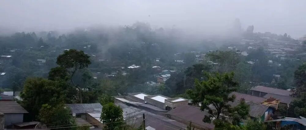 Có những vùng trồng cà phê nào ở phía tây nam Ethiopia? Rừng Kaffa có đặc điểm gì?