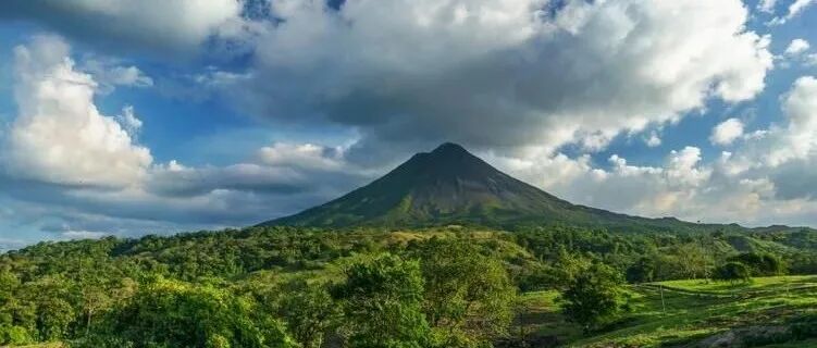Vùng Tarrazú của Costa Rica có những estate nổi tiếng nào? Chúng có đặc điểm gì?